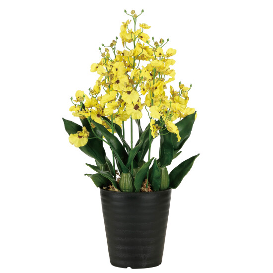 光触媒 人工観葉植物 造花 オンシジュームL (高さ53cm)