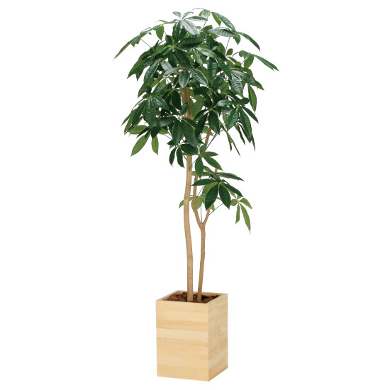 光触媒 人工観葉植物 造花 ウッドボックスパキラ1.6 (高さ160cm)