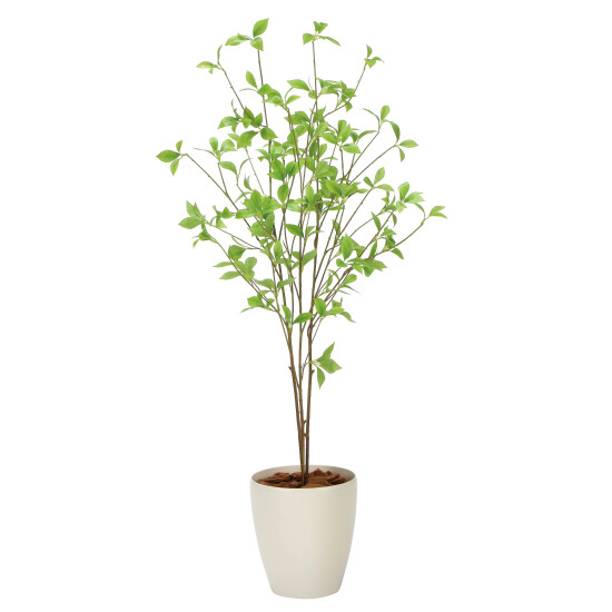 光触媒 人工観葉植物 造花 クロモジ1.2 (高さ120cm)