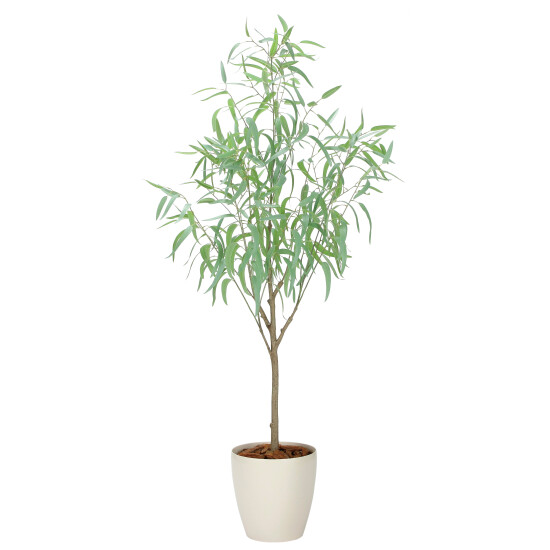 光触媒 人工観葉植物 造花 フレッシュシルバーユーカリ1.7 (高さ170cm)