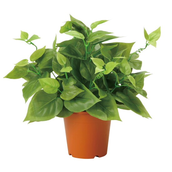 光触媒 人工観葉植物 造花 ライムポトス (高さ37cm)