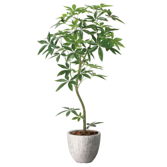 光触媒 人工観葉植物 造花 ナチュラルパキラ1.6 (高さ160cm)