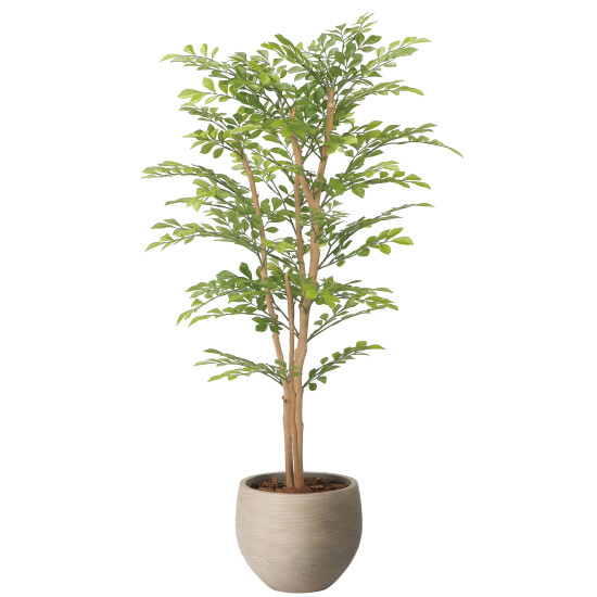 光触媒 人工観葉植物 造花 ナチュラルライトトネリコ1.1 (高さ110cm)