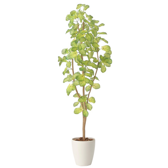 光触媒 人工観葉植物 造花 スリムバウヒニア1.5 (高さ150cm)