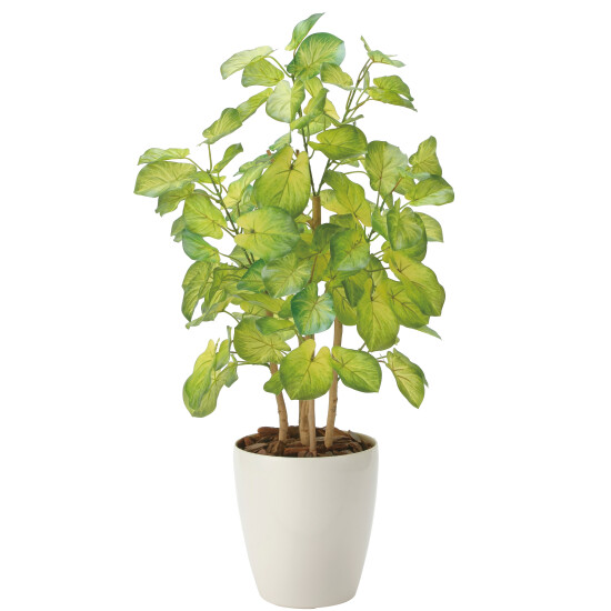光触媒 人工観葉植物 造花 バウヒニア70 (高さ70cm)