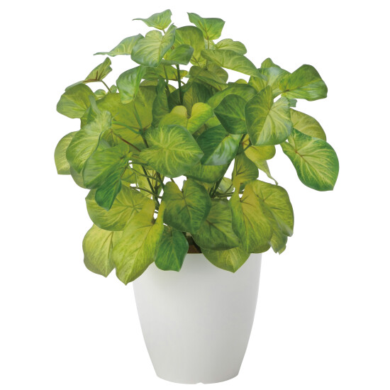 光触媒 人工観葉植物 造花 バウヒニア (高さ40cm)