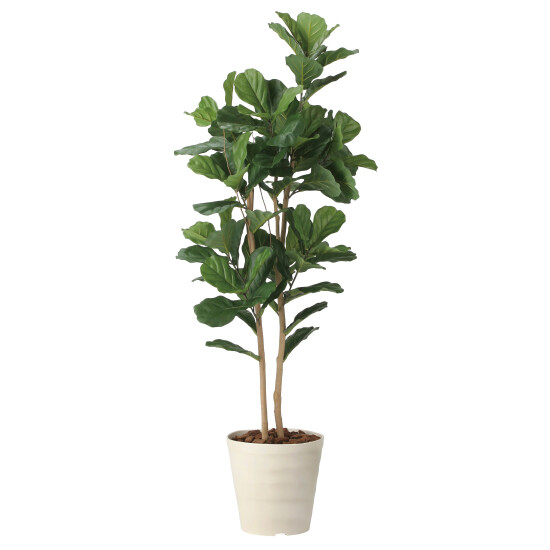 光触媒 人工観葉植物 造花 カシワバゴム1.8 (高さ180cm)