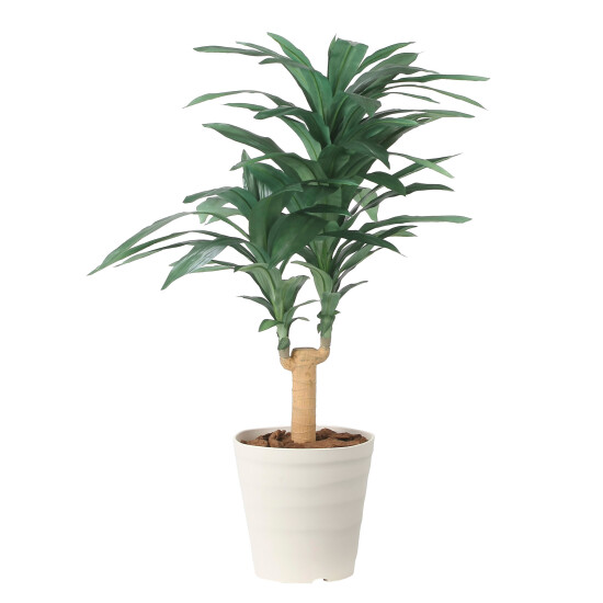 光触媒 人工観葉植物 造花 ドラセナジャネット1.0 (高さ100cm)