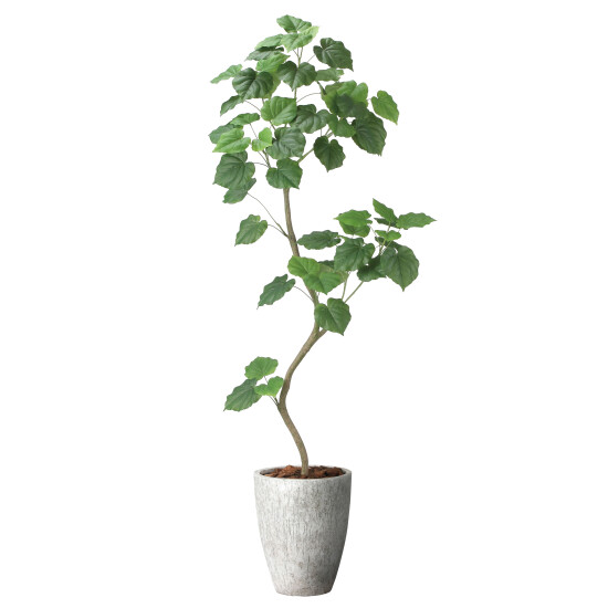 光触媒 人工観葉植物 造花 ナチュラルウンベラータ1.9(組立式) (高さ190cm)