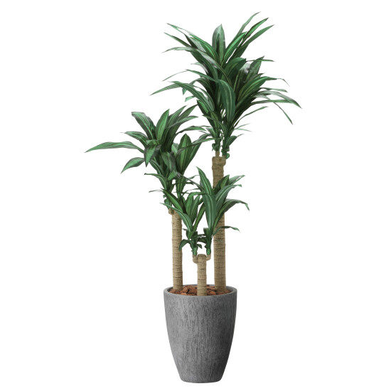 光触媒 人工観葉植物 造花 ナチュラル幸福の木1.65 (高さ165cm)