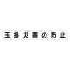 スーパーフラットミニ掲示板 専用マグネット (大) 表示内容:玉掛災害の防止 (313-652)