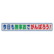 風抜けメッシュ標識（横断幕）今日も無事故でがんばろう！ (352-37)