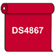 【送料無料】 ダイナカル DS4867 プリンセス 1020mm幅×10m巻 (DS4867)