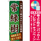 のぼり旗 表示:常緑樹 (GNB-1074) [プレゼント付]