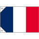 販促用国旗 フランス サイズ:ミニ (23673)