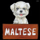 デコシール 犬 マルチーズ サイズ:ミニ W100×H100 (62063)