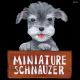 デコシール 犬 ミニチュアシュナウザー サイズ:ミニ W100×H100 (62069)