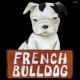 デコシール 犬 フレンチブルドッグ サイズ:レギュラー W285×H285 (62002)