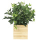 光触媒 人工観葉植物 造花 ウッドボックスK (高さ50cm)