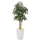 光触媒 人工観葉植物 造花 アーバンパキラ1.8 (高さ180cm)