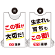 プロモウェア 選挙運動向けデザイン この街が好きだ／生まれも育ちもこの街 白地 不織布(PW-043A-FU)