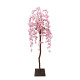 【2025年春商品】シダレ桜立木 (No177-11_06)