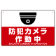 防犯カメラ作動中 (丸形イラスト)  赤地/白文字 オリジナル プレート看板 W450×H300 アルミ複合板
