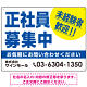 正社員募集中 未経験者歓迎 大きな文字デザイン 求人募集看板 オリジナル プレート看板 ブルー W600×H450 マグネットシート (SP-SMD642A-60x45M)