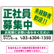 正社員募集中 未経験者歓迎 大きな文字デザイン 求人募集看板 オリジナル プレート看板 グリーン W450×H300 アルミ複合板 (SP-SMD642C-45x30A)