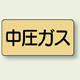 JIS配管識別ステッカー 横型 中圧ガス 中 10枚1組 (AS-4-11M)