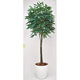 光触媒 人工観葉植物 造花 パキラ 1.6 (高さ160cm)