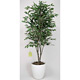 光触媒 人工観葉植物 造花 ベンジャミンツリー 1.6 (高さ160cm)