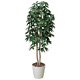 光触媒 人工観葉植物 パキラツリー 1.6 (高さ160cm)