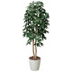 光触媒 人工観葉植物 造花 パキラツリー 1.6 (高さ160cm)
