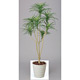 光触媒 人工観葉植物 ユッカ 1.6 (高さ160cm)