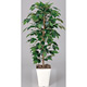 光触媒 人工観葉植物 造花 フィカスベンジャミン 1.2 (高さ120cm)