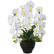光触媒 人工観葉植物 造花 胡蝶蘭セリースW (高さ66cm)