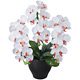 光触媒 人工観葉植物 造花 胡蝶蘭セリースW/AB (高さ66cm)