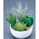 光触媒 人工観葉植物 造花 寄せ植えラブリ―(ポリ製) (高さ15cm)