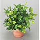 光触媒 人工観葉植物 造花 ポトスS (高さ27cm)