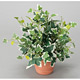 ホーランドアイビーS (人工観葉植物) 高さ25cm 光触媒機能付 (262A25)