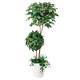 光触媒 人工観葉植物 造花 ベンジャミンダブルフェイス1.8植栽付 (高さ180cm)