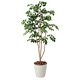 光触媒 人工観葉植物 造花 マウンテンアッシュ1.3 (高さ130cm)