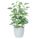 光触媒 人工観葉植物 造花 ミニピポエスタポット (高さ27cm)
