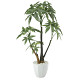パキラポットL (人工観葉植物) 高さ55cm 光触媒機能付 (629A85)