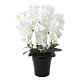 光触媒 人工観葉植物 造花 クイーン胡蝶蘭5本立W (高さ74cm)