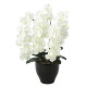 光触媒 人工観葉植物 造花 プレミアム胡蝶蘭W (高さ68cm)