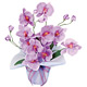 光触媒 人工観葉植物 造花 ホットファレノ (高さ35cm)
