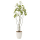 光触媒 人工観葉植物 フィカスブランチツリー1.3 (高さ130cm)