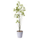【送料無料】フィカスブランチツリー1.7 (人工観葉植物) 高さ170cm 光触媒機能付 (813A250)